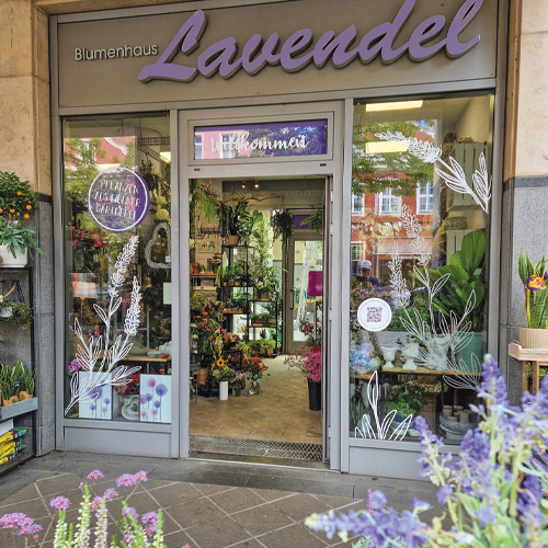 Lavendel_Floristikfachgeschäft_Potsdam Lavendel_Floristikfachgeschäft_Potsdam